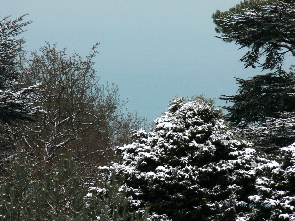 Bois des Moutiers Winterreise (45)